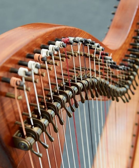 Harp Ireland National Resource Hub Ireland's Emblem