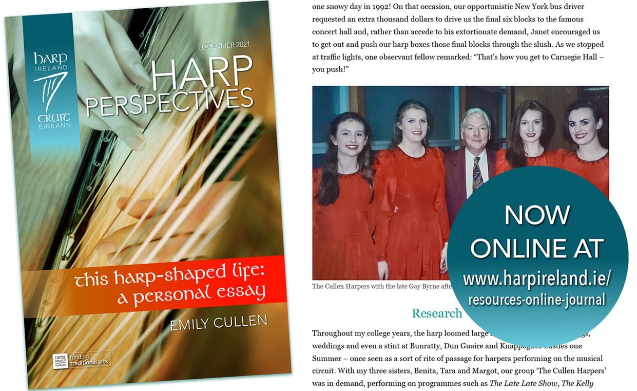 HARP PERSPECTIVES December is online now Harp Ireland