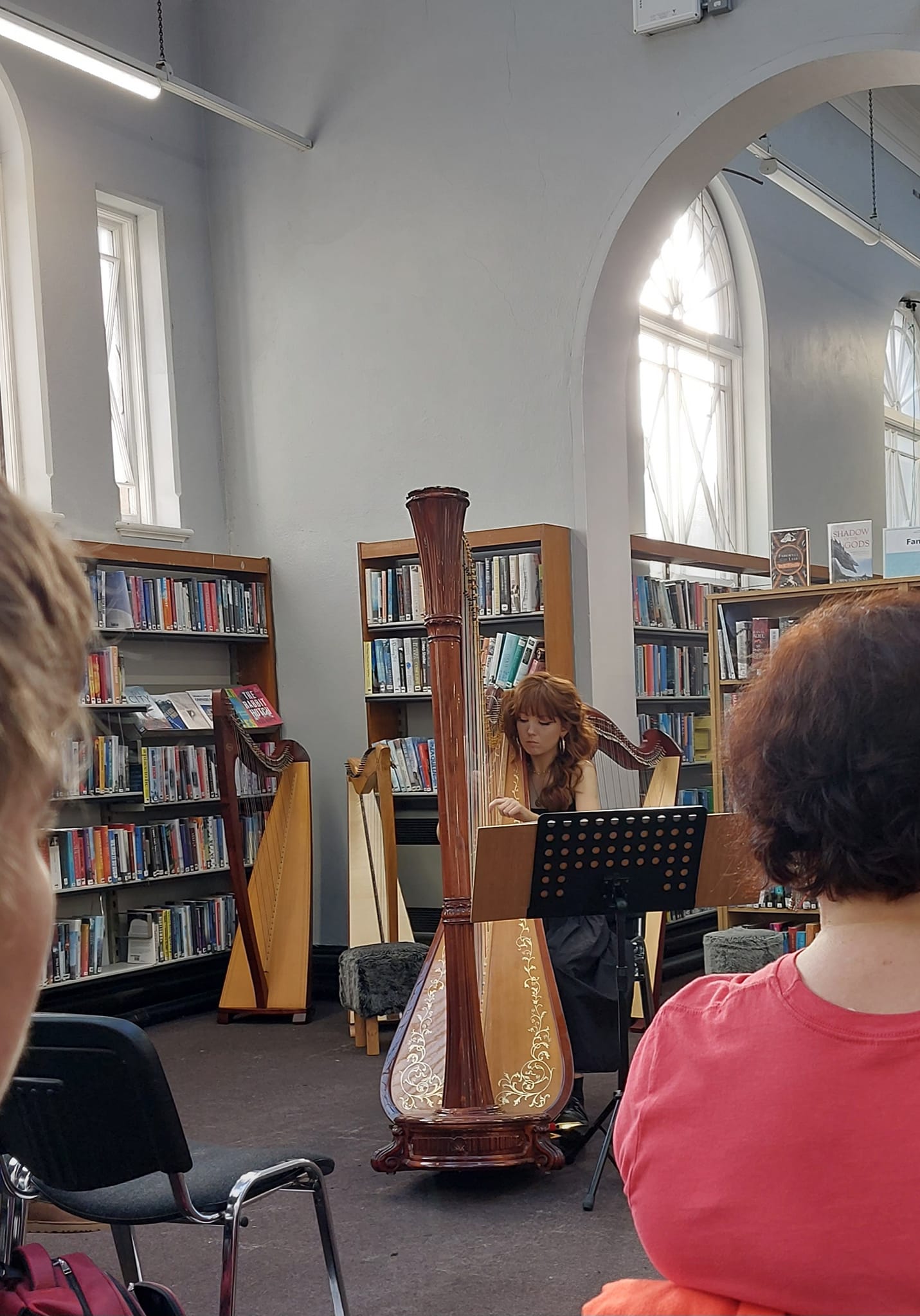 Harpers & Poets in Cork City Library Harp Ireland