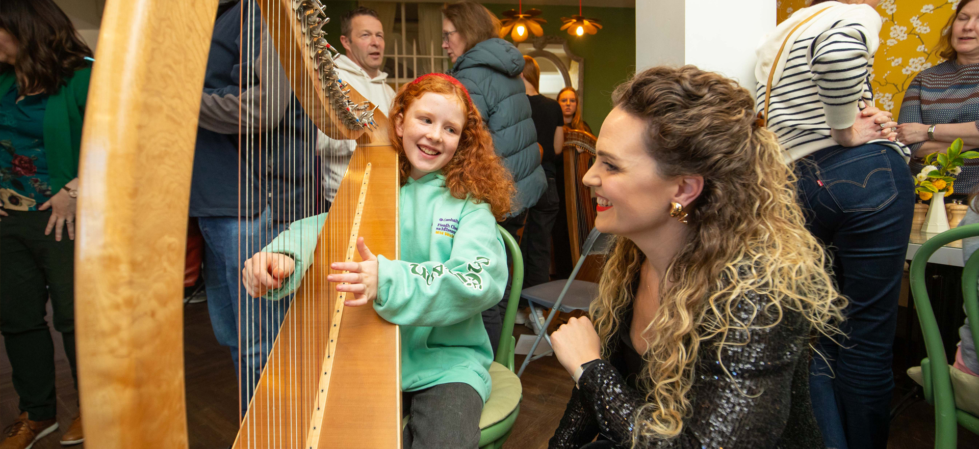 Harp Day 2024 Wicklow