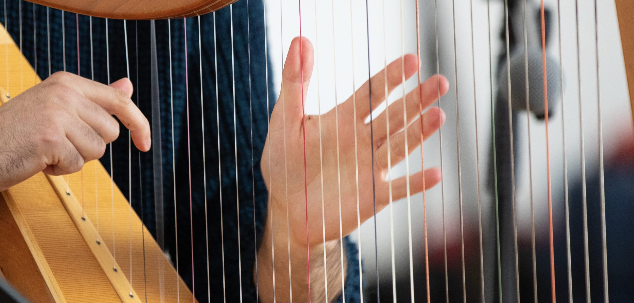 Job Opportunity: Full-time Programme Coordinator at Cruit Éireann | Harp Ireland