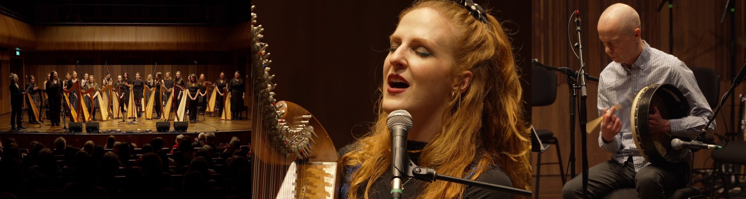 Review of Sonóir, Harp Ireland Gala Concert on JMI