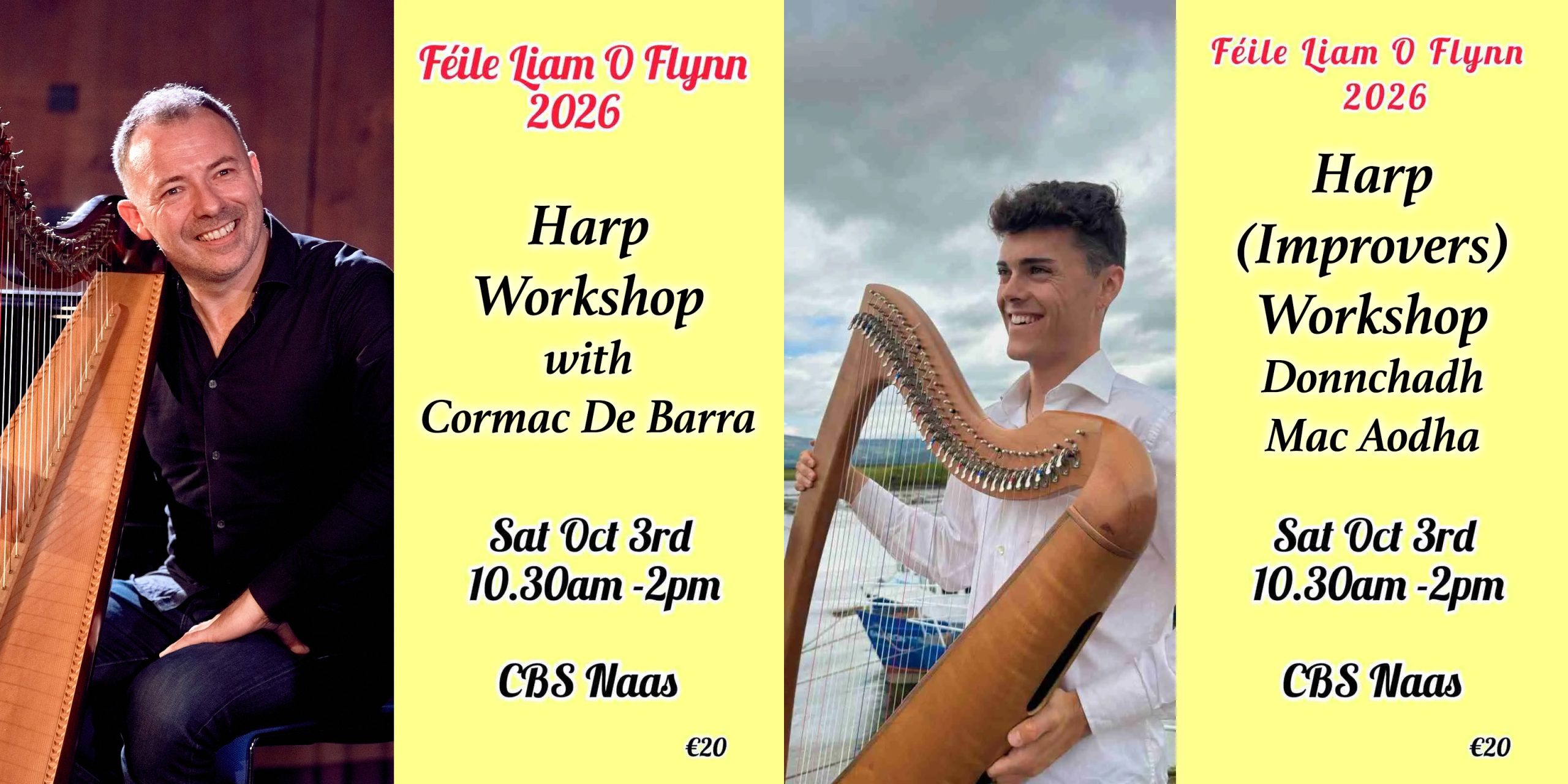 Harp Workshops at Féile Liam O’Flynn